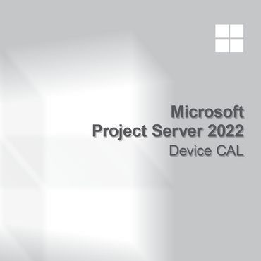 Microsoft Project Server 2022 устройство CAL